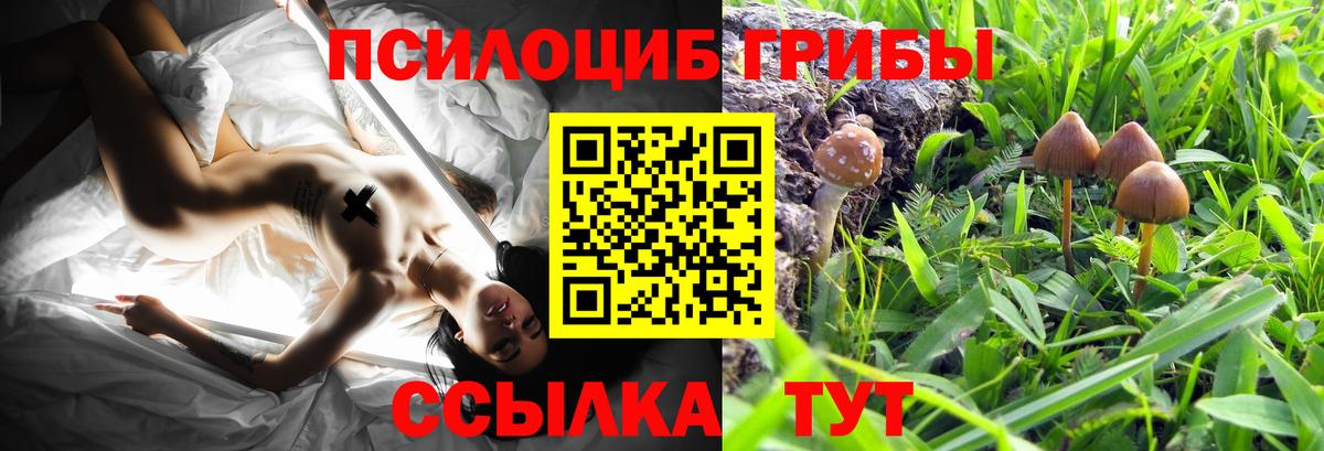 цена   Вход с VPN  Гусь-Хрустальный  Галлюциногенные грибы MAGIC MUSHROOMS  Галлюциногенные грибы Psilocybe 